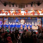 Kölner Narrenzunft (17.01.10)